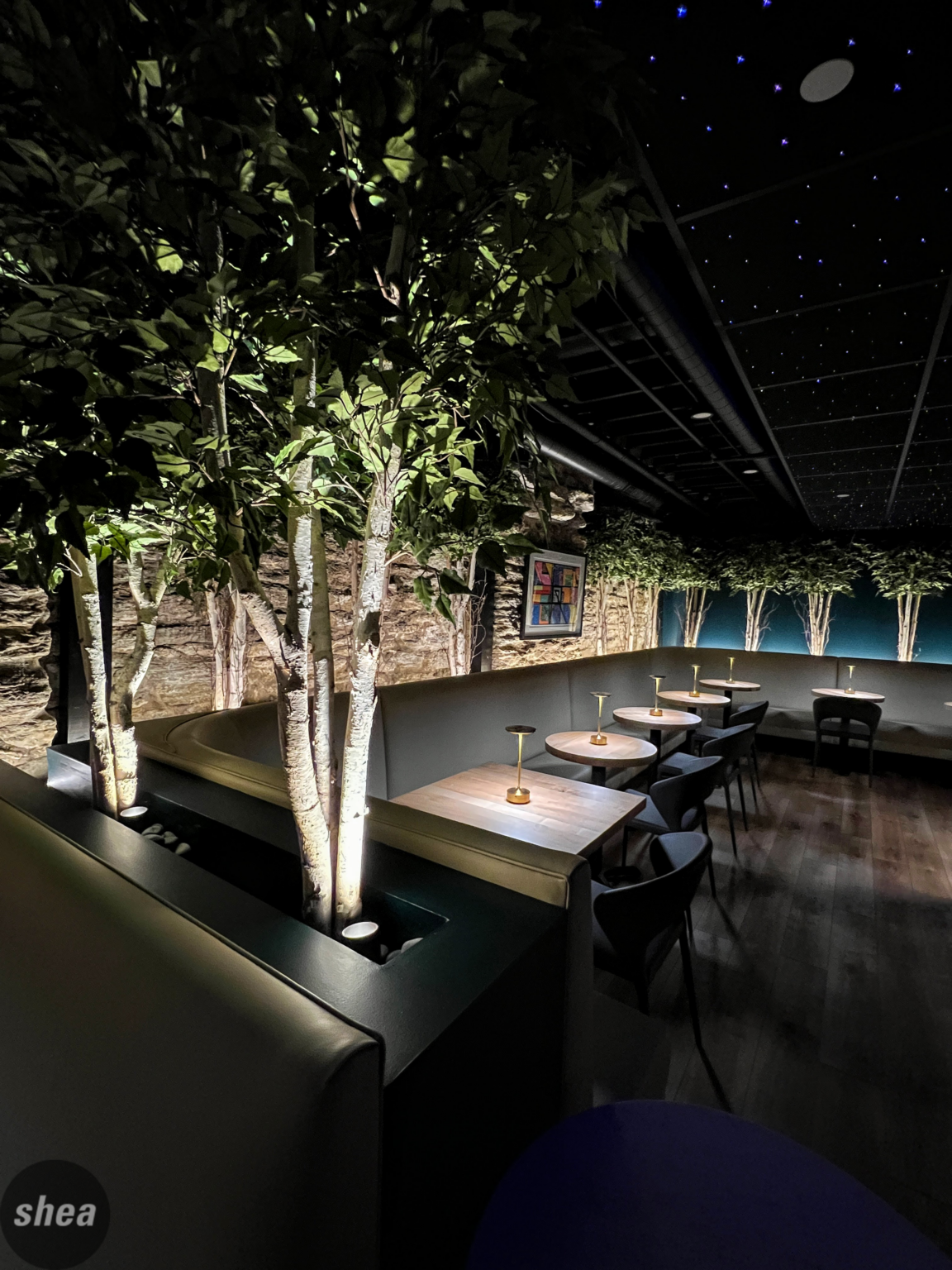 Billy After Dark Shea