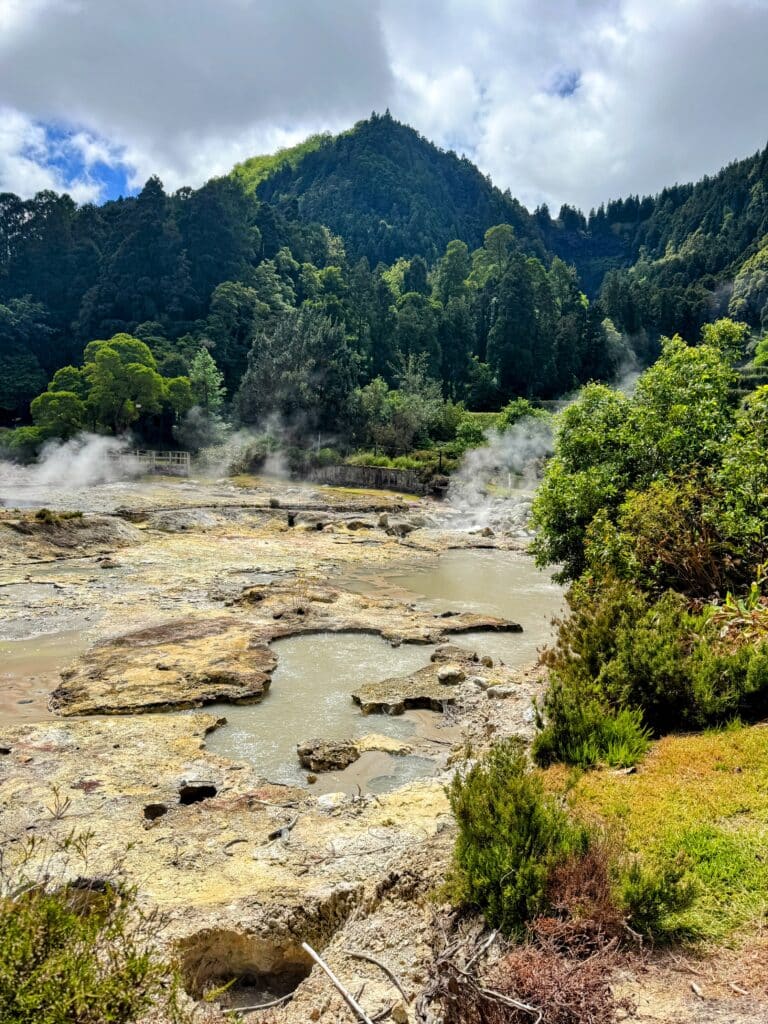 Furnas