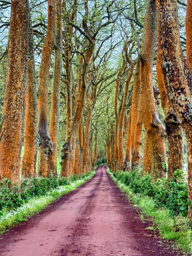 Azores, Portugal